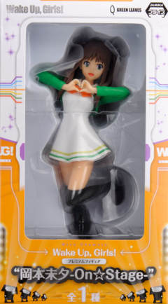 PM Figure 冈本 未夕 -资料图