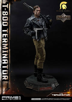 T-800 DX version-资料图