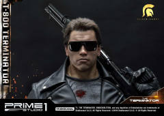 T-800 DX version-资料图