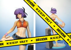绫音 Tecmo Webshop Exclusive Limited Edition-资料图