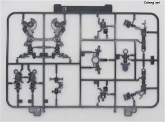 RG GNT-0000 00量子型-资料图