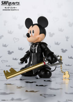 SHF 王样-资料图