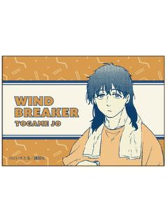 十龟条(D赏冰箱贴)-muzzle原画抽赏第2弹