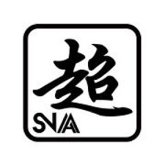 SNAA模型