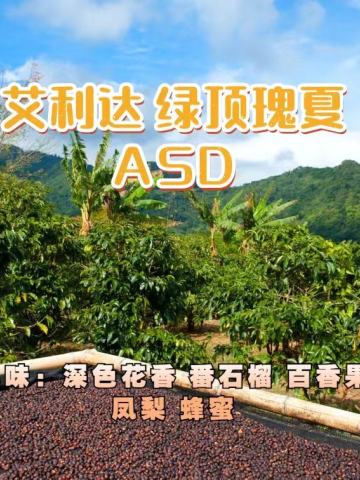 艾利达 绿顶瑰夏ASD