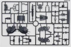 MG ZGMF-1017 金恩-资料图