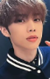 WM 幸运卡2.0 拉 university ver.