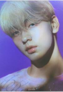 Lullaby版专卡2 ver.B