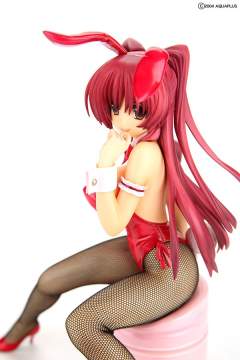 向坂环 Bunny ver.-资料图