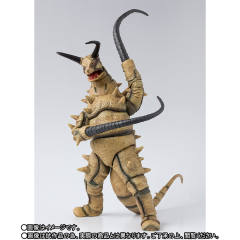 SHF 古敦-资料图
