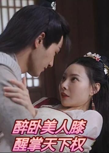 醉卧美人膝醒掌天下权