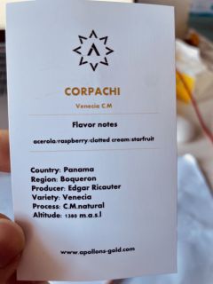 Corpachi Venecia CM