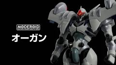 MODEROID 奥钢-资料图