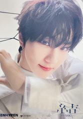 WVS日咖限定 ver.B 6