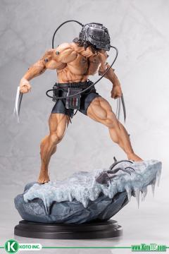 Fine Art Statue 金刚狼 武器X-资料图