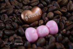 Teddy-棕色-资料图