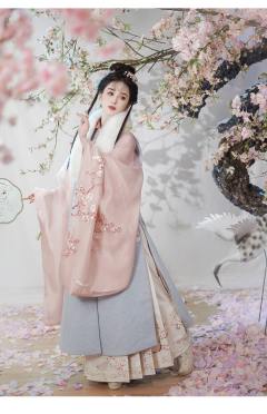 杏花疏影-资料图