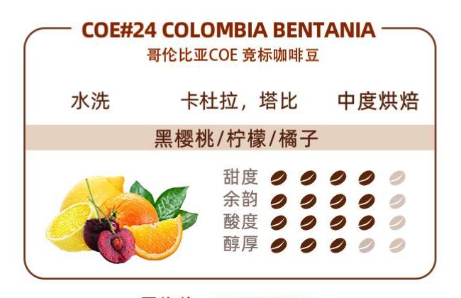 COE#24 COLOMBIA BENTANIA