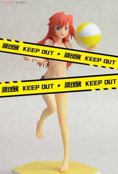 Beach Queens 贵月一花-资料图