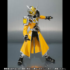 SHF 假面骑士Wizard Land Dragon Style-资料图