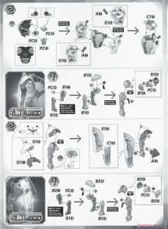 FRS 战斗暴龙兽-资料图