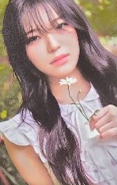 线下摄影展随机卡8 ver.C