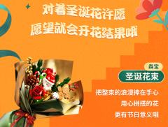 限定毛绒公仔-资料图