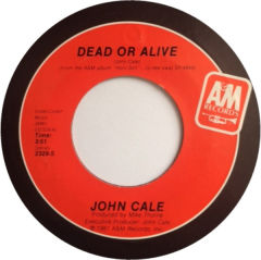 Dead Or Alive / Honi Soit (La Premiere Lecon de Francais)