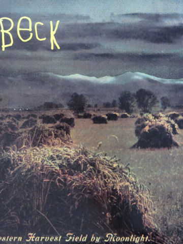A Western Harvest Field By Moonlight