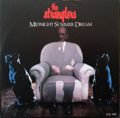 Midnight Summer Dream