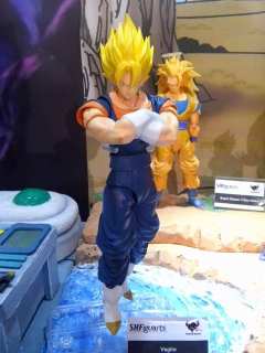 SHF 贝吉特-资料图