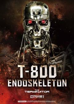 T-800 -资料图