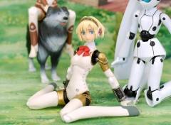 figma#038 Drossel von Flügel -资料图