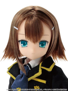 Asterisk Collection Series PureNeemo 木下秀吉-资料图