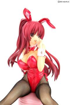 向坂环 Bunny ver.-资料图
