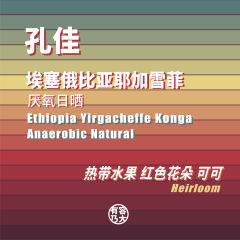 孔佳厌氧日晒咖啡豆