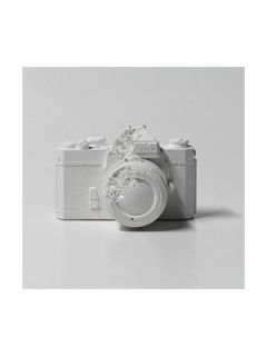 Eroded Camera , 2012