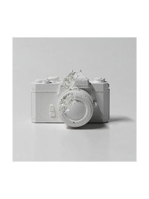 Eroded Camera , 2012