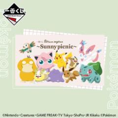 一番赏 宝可梦 Sunny Picnic