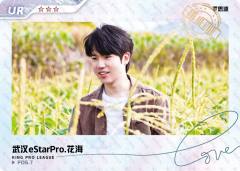 武汉eStarPro.花海