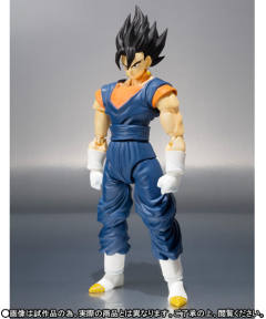 SHF 贝吉特-资料图