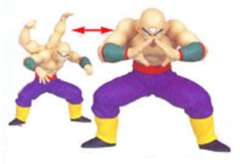 天津饭 DBZ Posing Set 5-资料图
