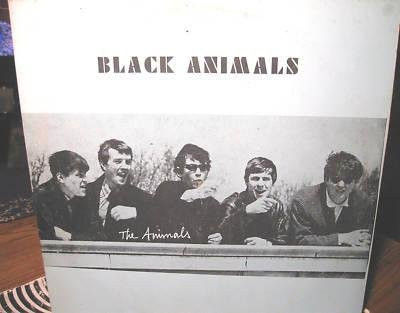 Black Animals