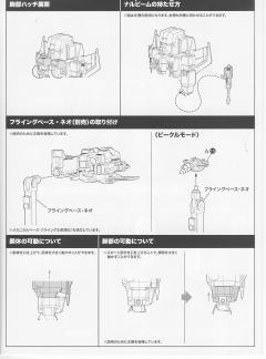 D-Style 红蜘蛛-资料图