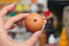 麻薯寄居蟹-资料图