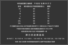 审判者的誓约 赛琳2.0-资料图