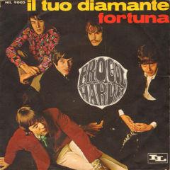 Il Tuo Diamante / Fortuna