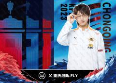 重庆狼队.Fly