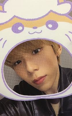 三丽鸥立牌卡 酱