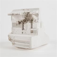 Polaroid , 2008-资料图